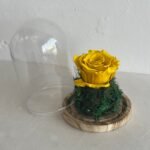 ⁦‏الوردة الدائمة⁩ - الصورة ⁦3⁩