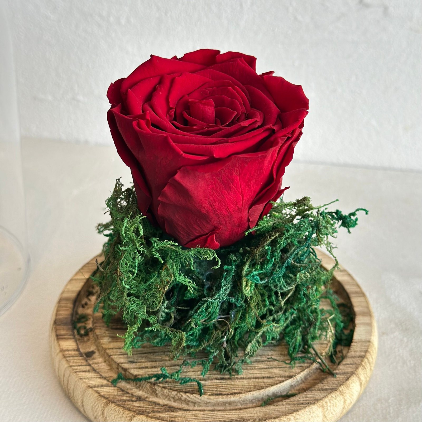 IMG_0390-2-scaled-1.jpeg الوردة الدائمة - الصورة 1