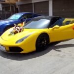 ⁦تشريع سيارة العرسان⁩ - الصورة ⁦2⁩