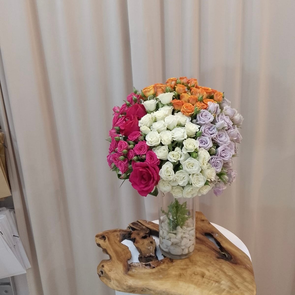 393debb0-4e8e-4274-835f-11ccfe856dda.jpeg مزهرية كيوت - الصورة 1