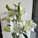 ⁦مزهرية الليليوم⁩ - الصورة ⁦2⁩