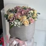 باقة نيوزلند