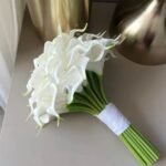 مسكة الكالا الجميله