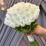 مسكة التوليب اللطيف