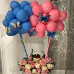 مجموعة تحديد الجنين